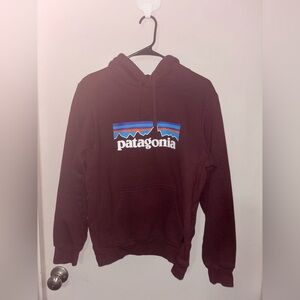 Patagonia Men's Maroon Hoodie